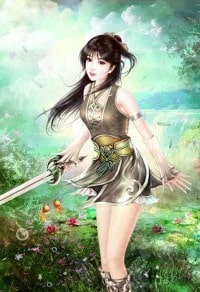 解红楼